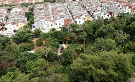 Cañada pública Hormigueros